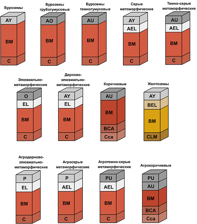 структурно-метаморфические